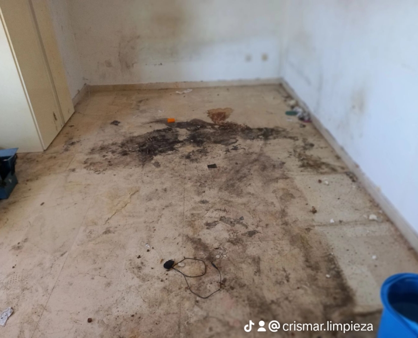 82fa2d26717051b1cbfc793901398721_14