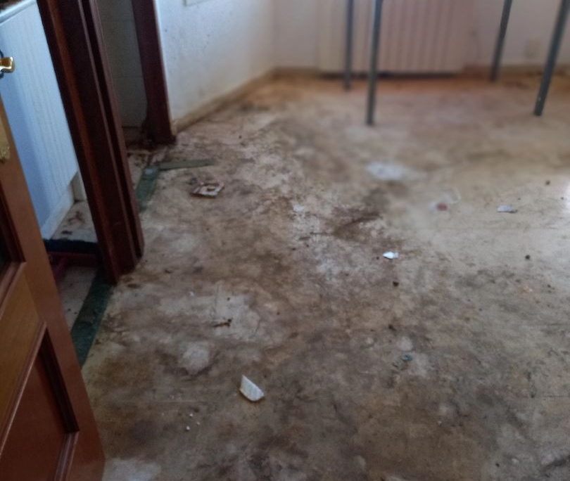 84cab9873d23d5bfa556a583cc5f14f3_13